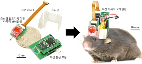 약물 전달와 뇌신호 측정이 동시에 가능한 무선 다목적 브레인칩과 이를 장착한 생쥐 사진 [고대의료원 제공]