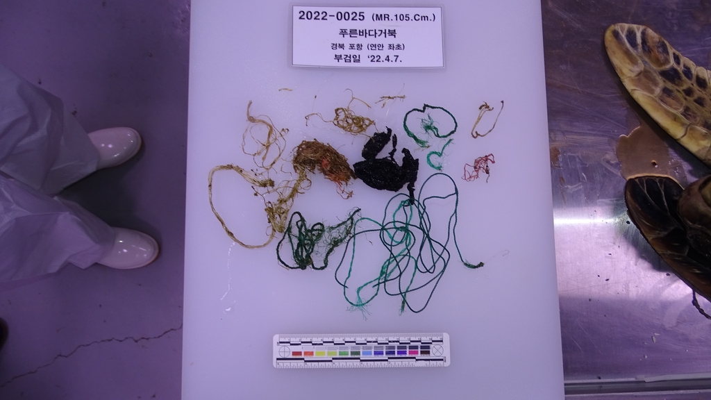바다거북의 장에서 나온 해양쓰레기들