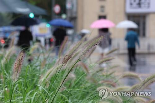 [연합뉴스 자료사진]
