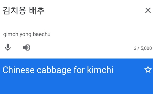 구글 번역기서 '김치용 배추'를 검색하면 나오는 영어 표기