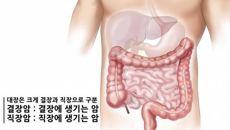 365속편한내과의원 이미지