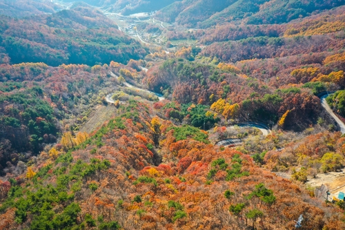 만추의 도마령