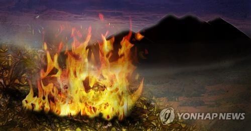 강원 고성군 국유림서 산불, 1시간 40여 분만에 진화