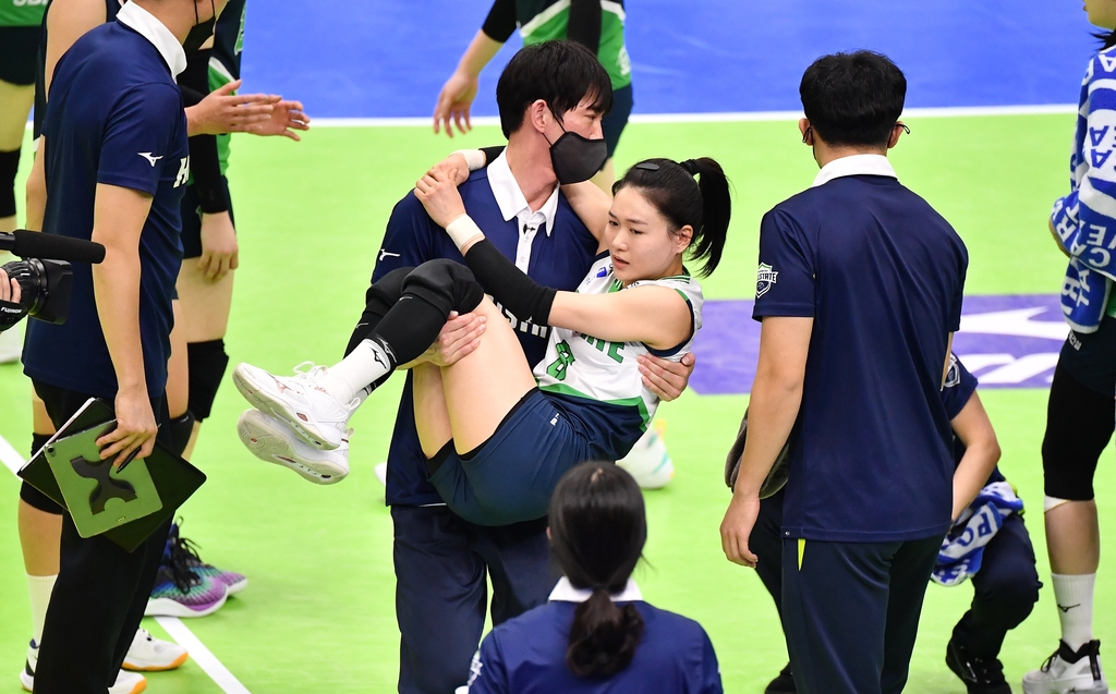 다친 김연견