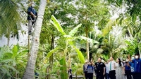 '원숭이 노동 착취' 태국 코코넛우유, 유럽 업체서 퇴출