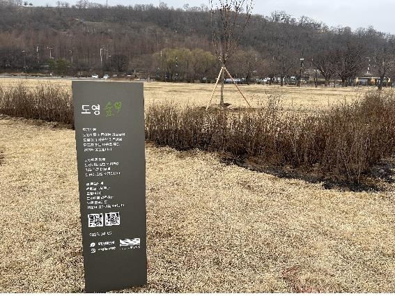 난지한강공원에 조성된 NCT 도영숲
