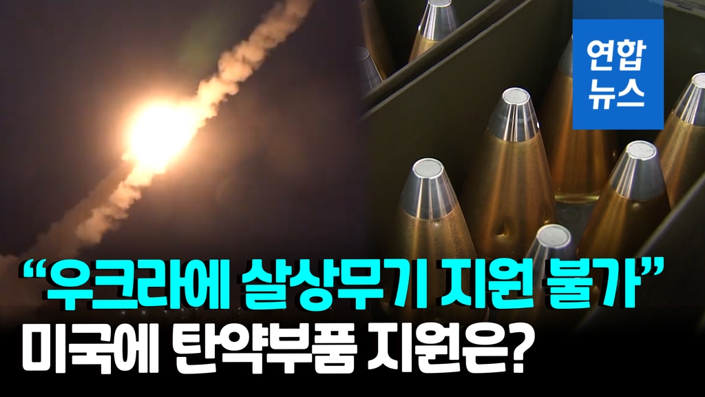 [영상] "한국, 미국에 부족한 무기 부품 공급해 우크라 지원 가능" - 2