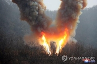 美 "北, 전술핵 모의실험 우려…안보리 비토권 사용할 때 아냐"
