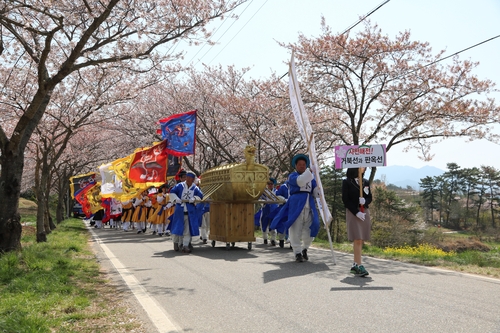 사천 선진리성 벚꽃축제 