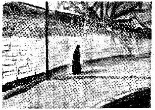 1931년 '삼대' 연재 당시 안석주 화백이 그린 삽화