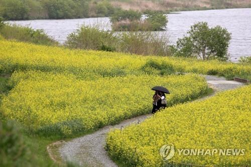 충북 흐리다 오후 가끔 구름…낮 최고 26도