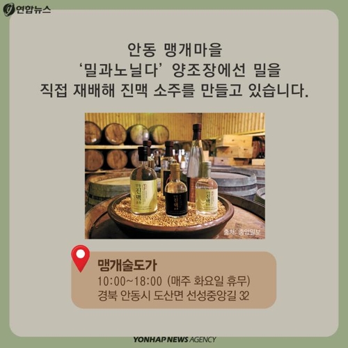 [카드뉴스] 시조에서 진짜 술이 튀어나온 사연 - 7