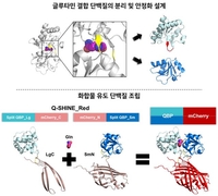중증 노인성 질환 지표 '글루타민', 혈당 측정처럼 쉽게 잰다