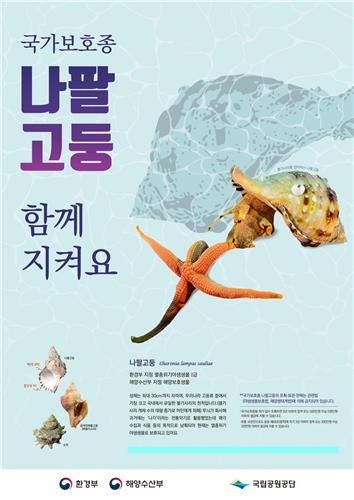 나팔횟집 이미지