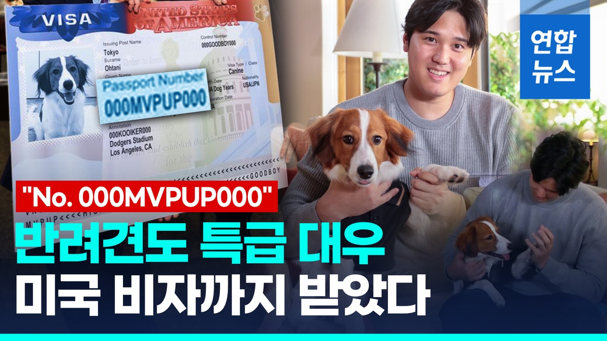 [Video] Otani’s dog is also ‘MVP’…  US Embassy in Japan, ‘US Visa’ gift - 2