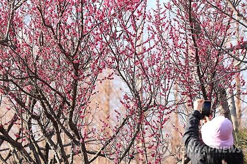 대전·세종·충남 흐리다 맑아져…낮 ‘포근’ | 연합뉴스