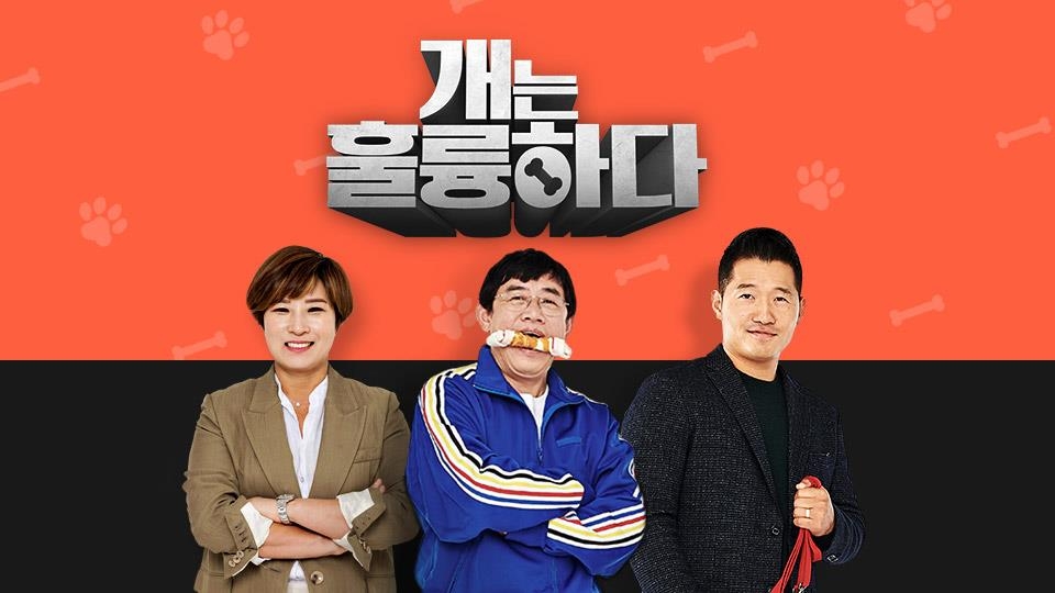 KBS '개는 훌륭하다'