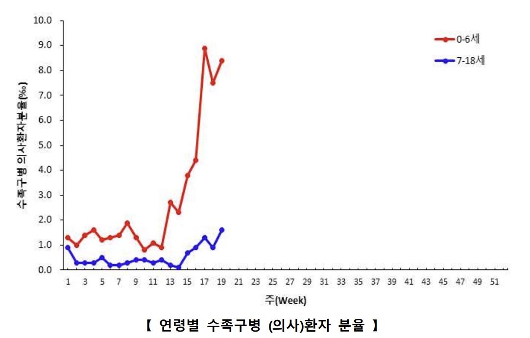 영유아 수족구 환자, 3주새 2배 급증…"손씻기 중요" - 2