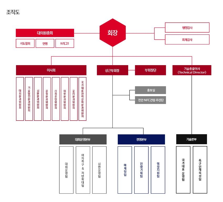 새로 개편된 대한축구협회 조직도