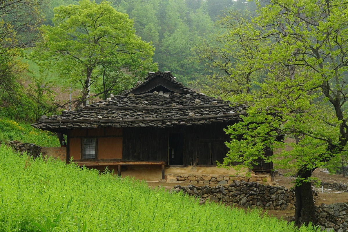 삼척 신리 너와집