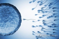 유럽서 동일 남성 기증 정자로 출생한 67명 중 10명 암 진단
