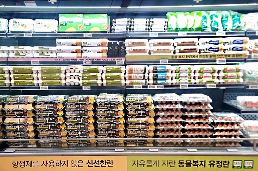 이랜드킴스클럽, 계란 한 판 6천990원…"6천판 한정 판매"