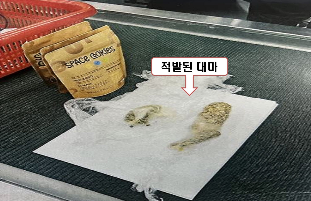마약 국내 유통 적발