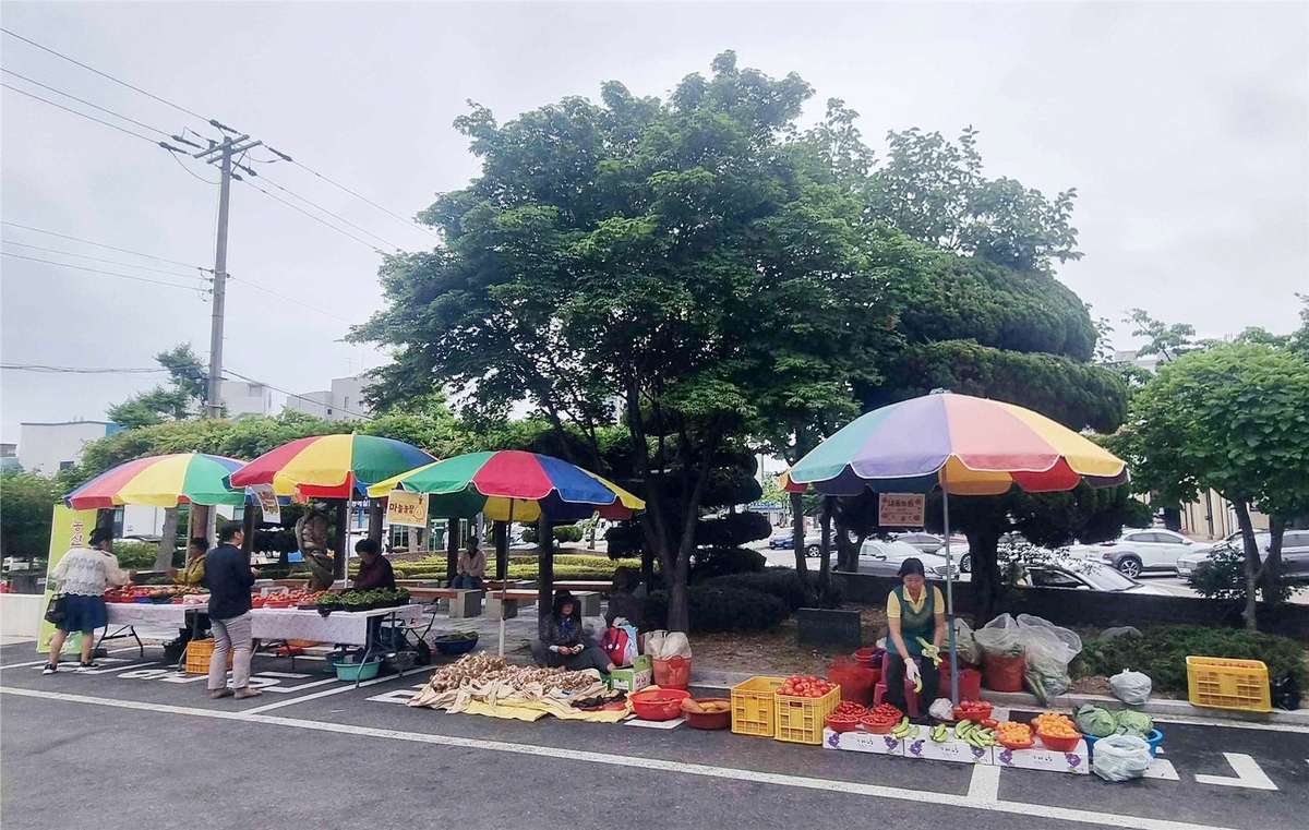 동해시 농산물 직거래장터