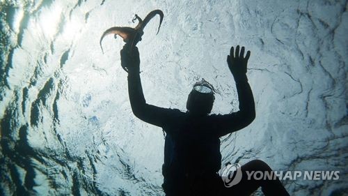전북도, 군산·부안서 어업잠수사 시범사업…"생산비 절감…