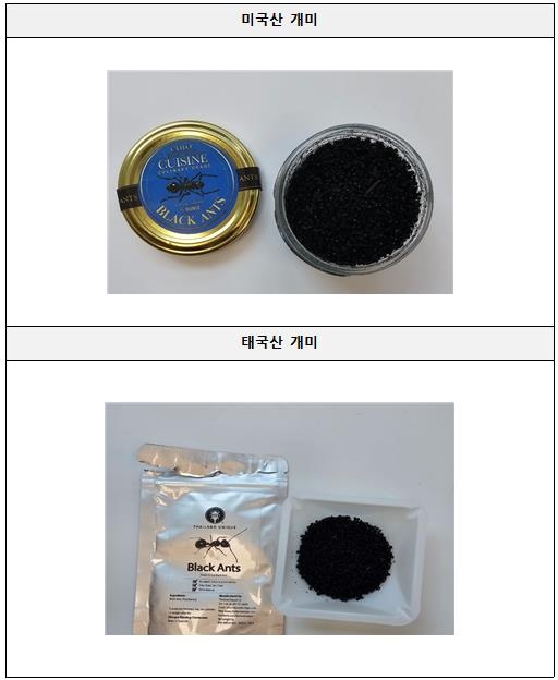 해외서 들여온 '개미'로 요리한 음식점…식약처에 적발