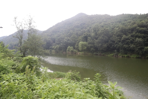 충남 부여·청양 주민 10명 중 6명 "지천댐 건설 찬…