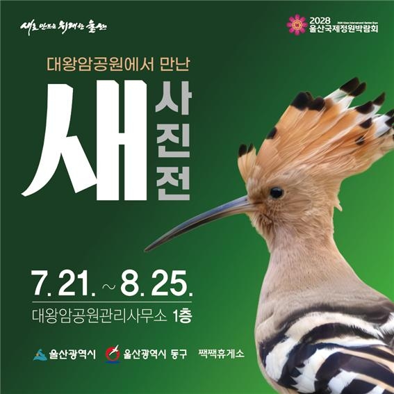 [울산소식] '대왕암공원 새 사진전' 개최…조류 20종…