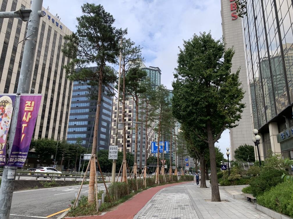 귀빈 맞던 마포대로에 소나무길 조성