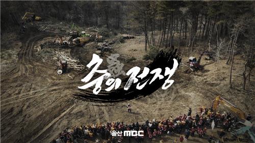 소나무재선충 악순환 조명…울산MBC 다큐 '충(蟲)의 전쟁'