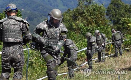 Corea del Sur descubre aparentes restos de la Guerra de Corea en la DMZ