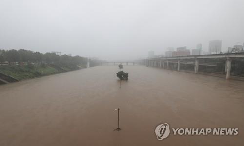 La foto, tomada el 30 de junio de 2022, muestra el arroyo Tan, en la ciudad de Seongnam, al sur de Seúl, sumergido tras lluvias torrenciales que cayeron en la semana.