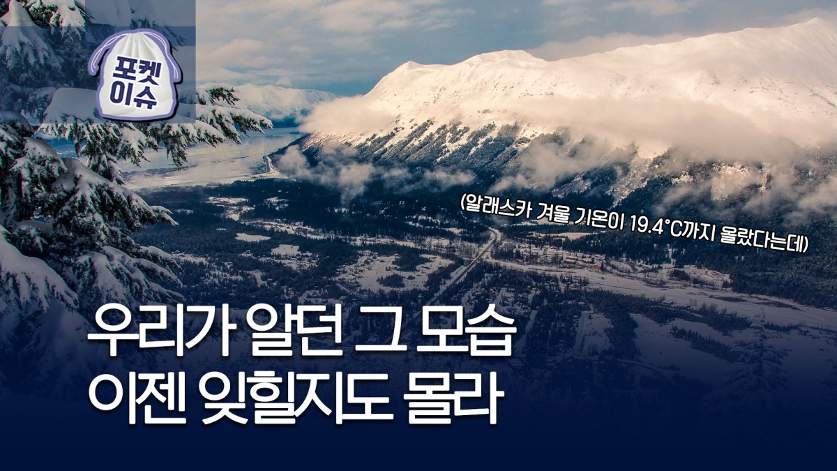 [포켓이슈] 뭐지?…서울보다 따뜻한 알래스카 - 3