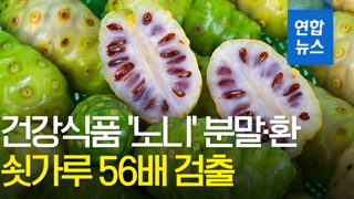 [영상] 건강식품 '노니' 분말·환제품서 쇳가루 56배 검출