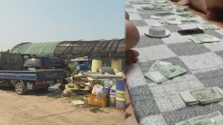 비닐하우스서 '베트남 도박판'…40명 무더기 검거