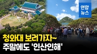  이제는 서울 대표 관광명소…청와대서 만끽하는 봄날 주말