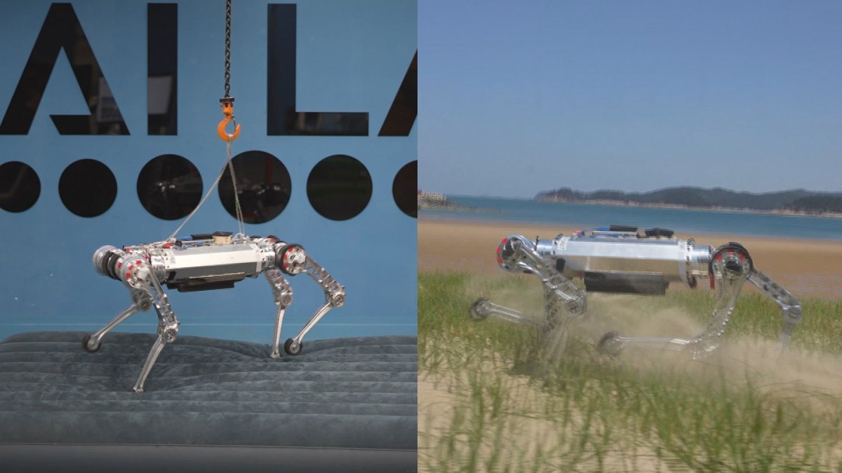 '모래사장에서도 속보'…카이스트, 로봇 '라이보' 개발