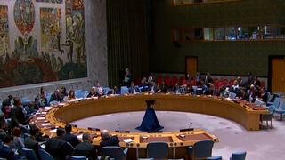 ICBM nord-coréen : le Conseil de sécurité inerte face à la Russie et à la Chine