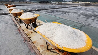 韓国政府　天日塩の全塩田で放射性物質検査へ（８月３０日）