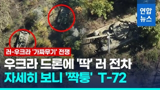 [영상] '짝퉁' 러 T-72 전차 드론에 '딱'…우크라 '오인 사격' 유도했나