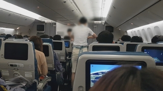 Korean Air dejará de ofrecer copas de fideos para la clase turista en vuelos de largo recorrido