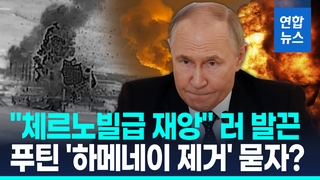 [영상] "체르노빌급 재앙" "3일내 식수고갈"…이란 '핵폭발 공포' 확산