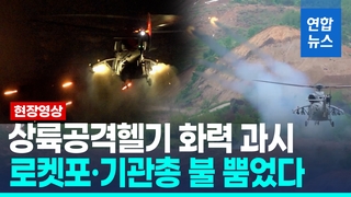 [영상] 해병대 국산 상륙공격헬기 화력 '합격'…로켓포 불 뿜었다