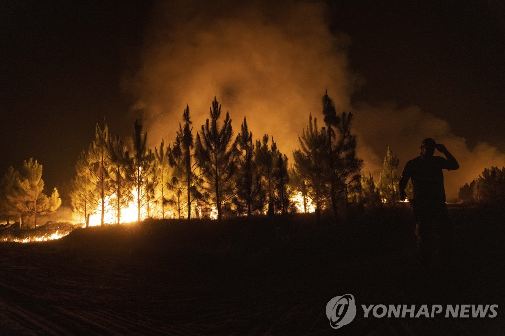 19일(현지시간) 아르헨티나 북동부 코리엔테스주 산불