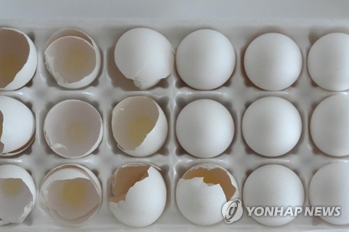 '달걀 대란' 뉴질랜드 "닭 직접 키워 계란 얻을래"…양계 유행