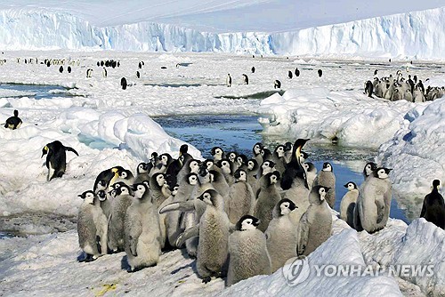 남극에 작년 반바지 등장…평년보다 39도 높은 지구 신기록